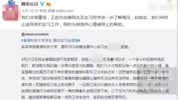 猫咪被合租室友虐待，主人求她别打了，对方理直气壮道：你报警啊