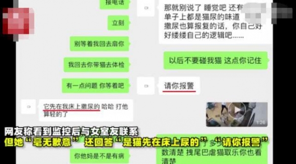 猫咪被合租室友虐待，主人求她别打了，对方理直气壮道：你报警啊