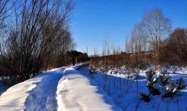 宁可舍弃五百万平方公里土地，也要死守远东，俄罗斯因何如此执着