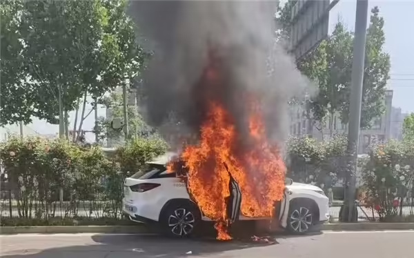 点击查看大图