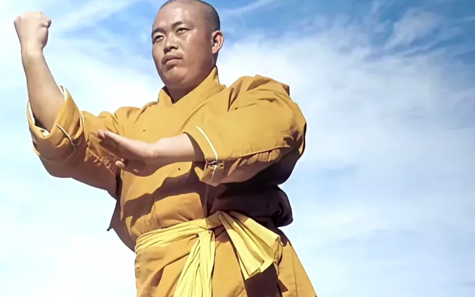 中国少林武功 高燃功夫剧】少林侠影05 | 主演：#鲍国安#谢苗#计春华#黄秋生