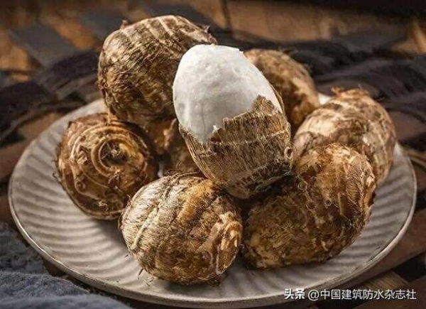 芋头立大功？医学研究：芋头可在12小时内清除40%“肠道废物”？