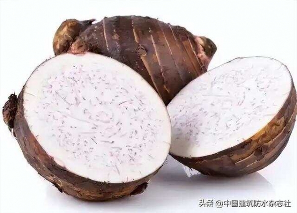 芋头立大功？医学研究：芋头可在12小时内清除40%“肠道废物”？