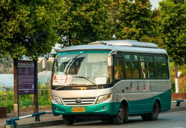 ​再见了，我国将全面取消这两类交通工具，老百姓拍手叫好！