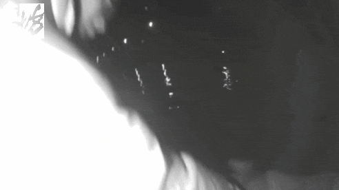 16-59-10-2-3-25430.gif?f=png