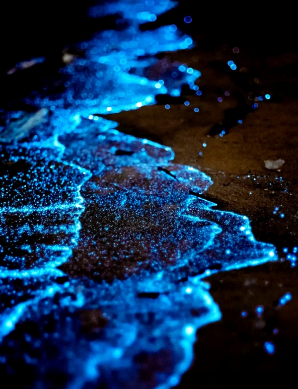 福建平潭岛“蓝眼泪”变“蓝鞋套”？废弃鞋套污染海滩，政府：每天都在派人清理