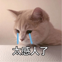 魔女在线魅惑?论魔王与征服里的英雄技能有多奇葩