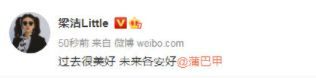 王鸥再陷小三风波 “剧本门”后又被挖旧料