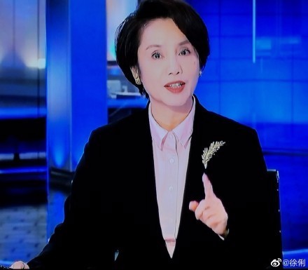 央视主播徐俐宣布退休 60岁的徐俐状态太好了