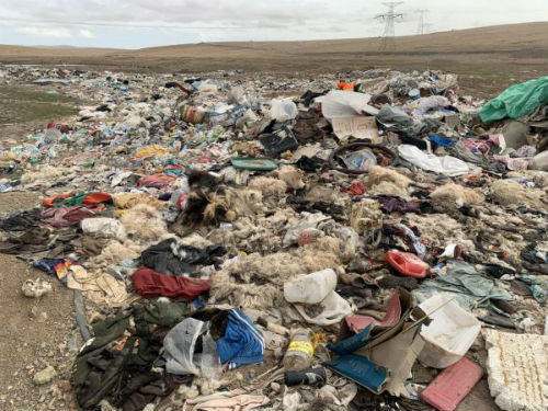 （2021年5月28日，从西宁方向出发前往拉萨的旅行者，在青藏公路五道梁地段附近拍摄到的巨大露天垃圾带。图中的白色卷毛物体为死羊，棕色卷毛物体为死牦牛）