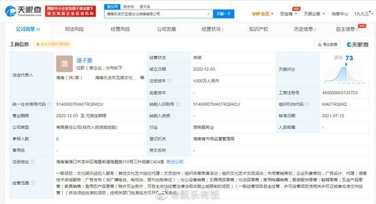 李湘成王岳伦关联公司最大股东 持股比例99.9%