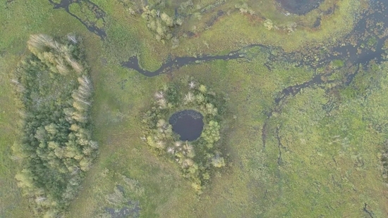 熔岩台地湿地上的塌陷坑及岛状林。周海翔供图
