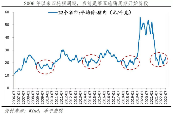 这轮“猪周期”经得起推敲吗？各券商火速解读