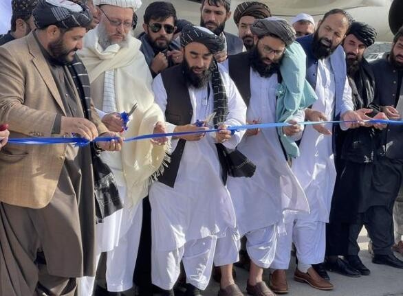 塔利班夺权后，阿富汗首次对华出口松子