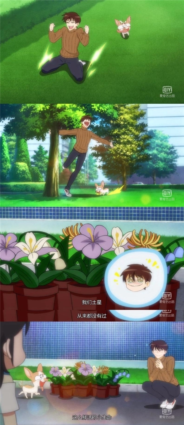 当代地漂青年：口嫌体直的爱情和屡败屡战的人生 