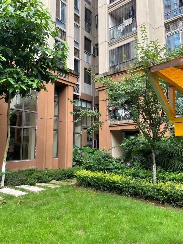 重庆两幼童坠亡：生父涉故意杀人被捕 曾现场痛哭
