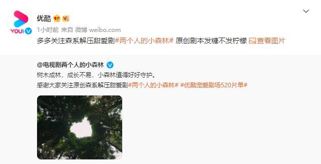 海报遭且试天下吐槽 《小森林》官博回应有深意