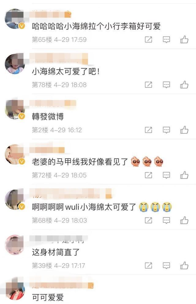 工作中也不忘带娃！baby现身三亚小海绵软萌可爱