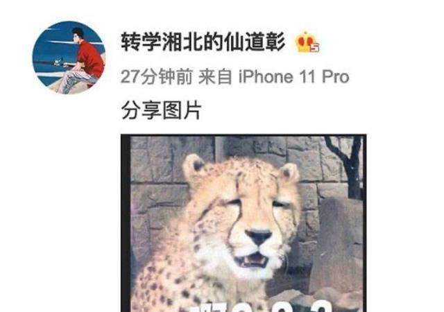 网友辟谣黄宗泽万籽麟恋情 称女方老公是小音乐人