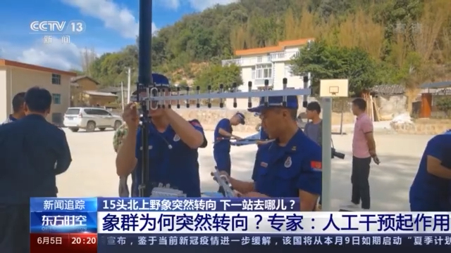 北上野象走出“S”路线 下一站去哪儿？