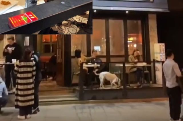 李诞和美女街头举止亲密 此前曾被传婚变