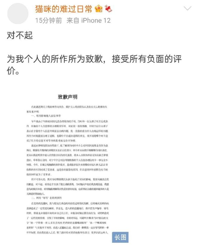 孙一宁就“租房影响他人征信、骗钱”等发道歉声明