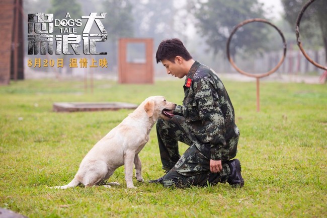 中国版忠犬八公 电影《忠犬流浪记》定档8月20日