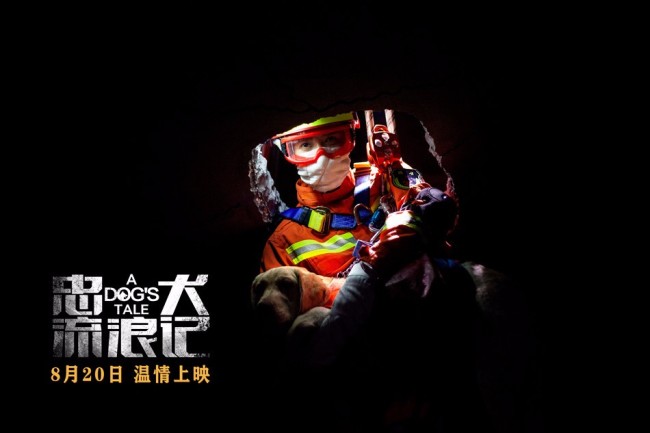 中国版忠犬八公 电影《忠犬流浪记》定档8月20日