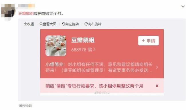 响应&quot;清朗&quot;行动要求 豆瓣鹅组宣布停用整改两个月