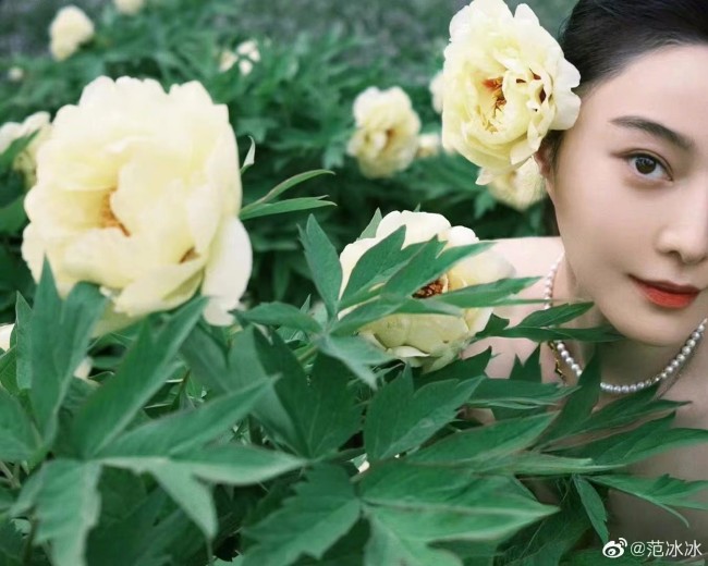 范冰冰新照曝光 与妈妈同框气质依旧好绝