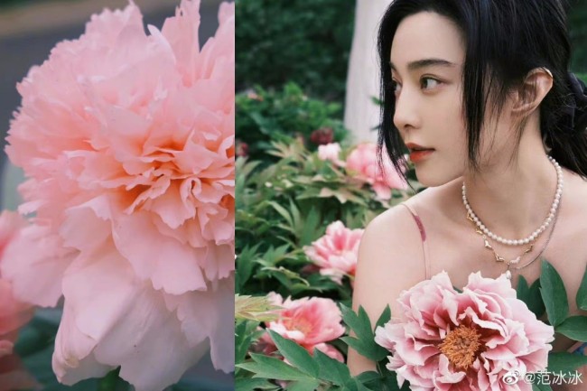 范冰冰新照曝光 与妈妈同框气质依旧好绝