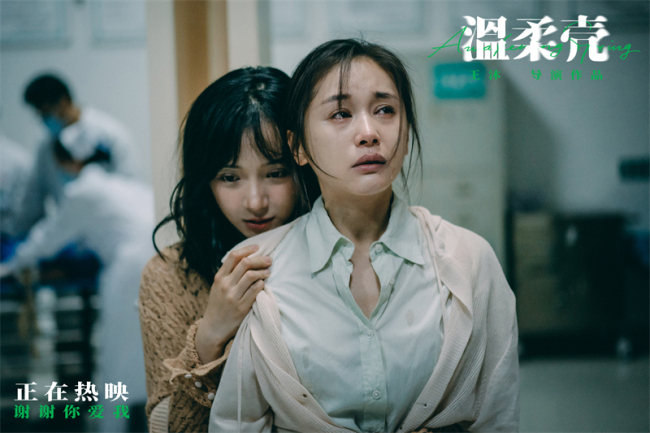电影《温柔壳》上映 王子文尹昉宿命相依为爱抉择