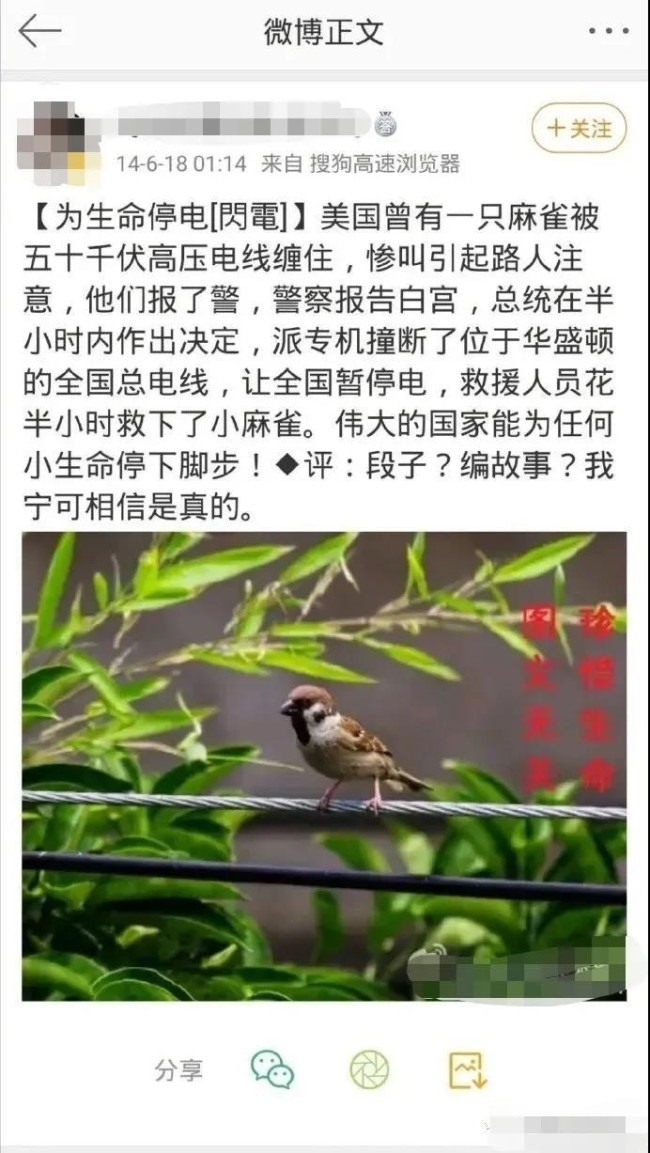 经典公知爽文共赏 这些国家自己都不敢这么吹！
