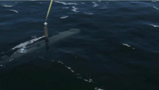 独家披露！美国海军要用“虎鲸”唬谁？