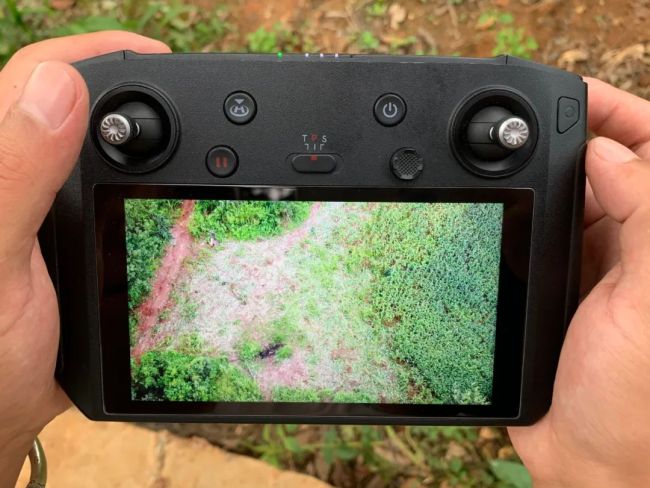 监测员的无人机拍摄到，村民的农田被大象毁坏大片（图中黑点为亚洲象）