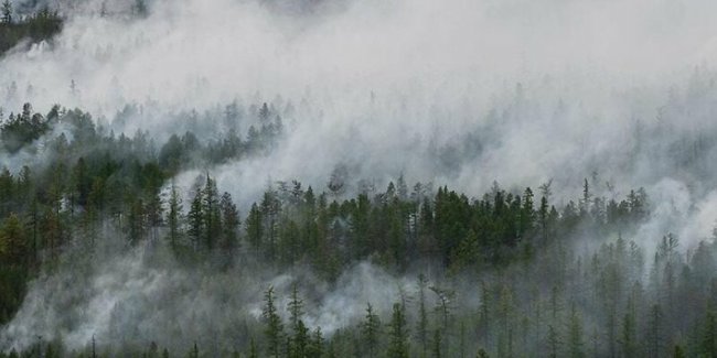  俄罗斯伊尔库茨克州扑灭一处大型森林火灾