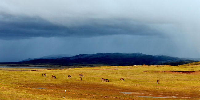 青藏高原可可西里地区再现巨大露天垃圾带