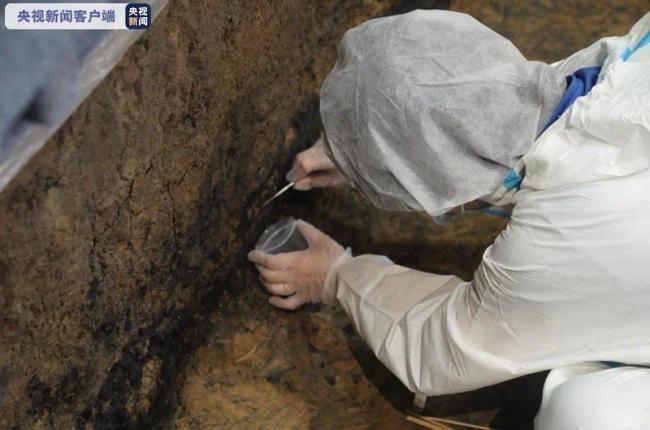惊艳！三星堆宝物天团“定妆照”来了