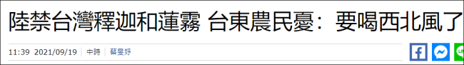 台方回应大陆暂停番荔枝和莲雾输入，声称无法接受