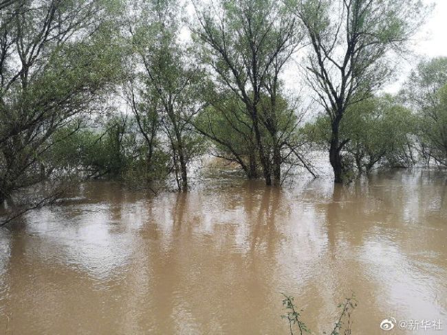 汾河山西河津段迎来67年来最大洪水