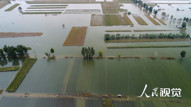 山西运城：航拍汾河洪峰过后农田被淹 部分河段转入排涝期编辑图片素材-ID:1353221016