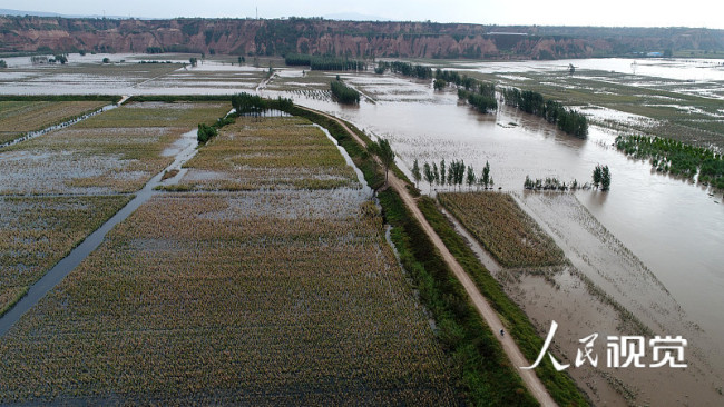 山西运城：航拍汾河洪峰过后农田被淹 部分河段转入排涝期编辑图片素材-ID:1353221020