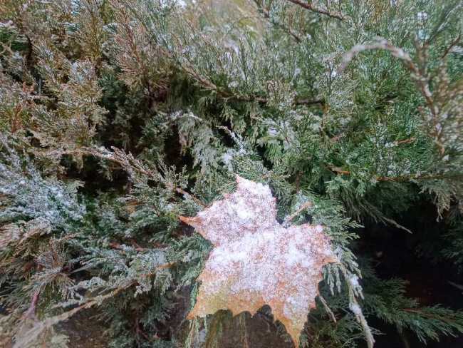 北京第一场雪来了！怀柔雪花已飘洒而下