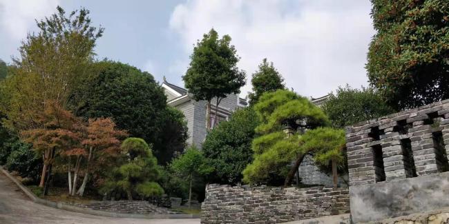 湖南原副检察长刘建宽被查：被指“建豪宅吃虎肉”