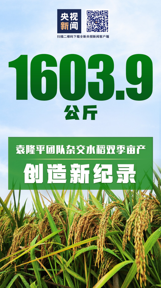 1603.9公斤！中国杂交水稻双季亩产创新纪录