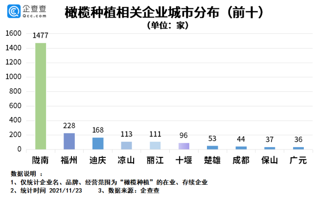 一杯橄榄汁卖1000元？我国橄榄种植企业超3千家