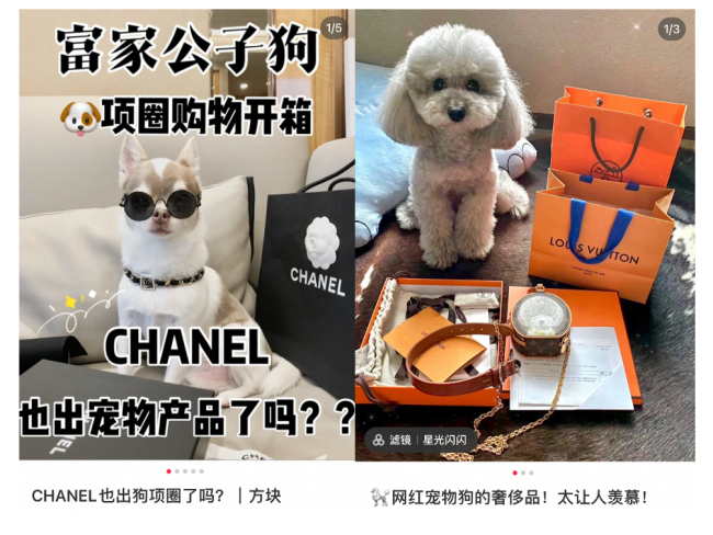 一个狗窝7万！奢侈品大牌入局 中国单只宠物年均消费6653元