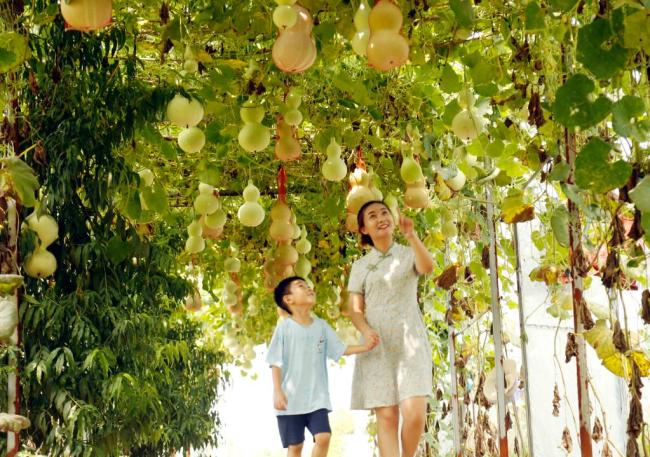 透视消费升级“密码”：激活消费市场 促进经济复苏