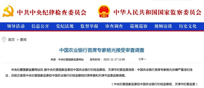 中国农业银行首席专家杨光接受审查调查